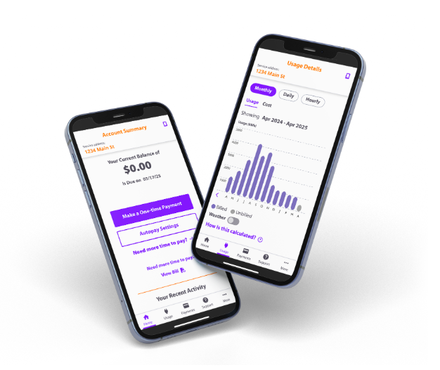 App de Ambit Energy para consultar uso y pagar facturas